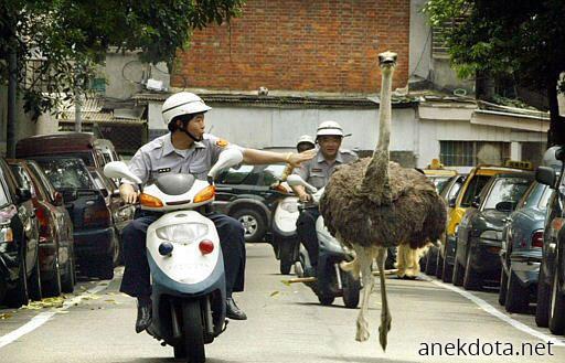 Ε,εσύ πουλί σταμάτα!! 