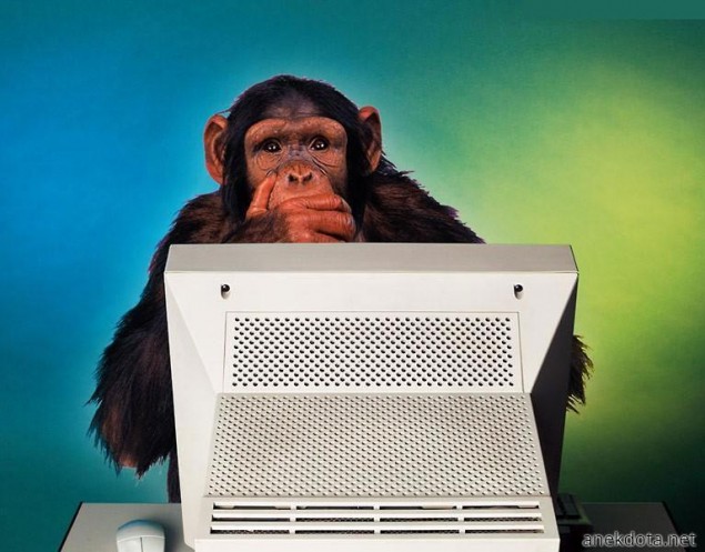 Τι βλέπουν τα πιθηκίσια μπιρμπιλοτά μου μάτια;