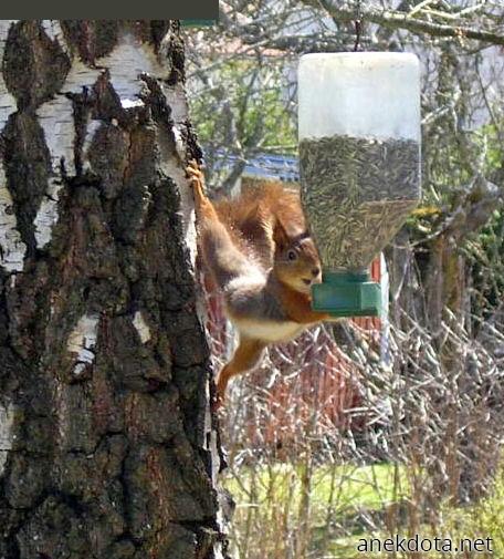 Έλα τα φτάνω! 