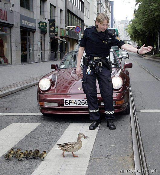 Απο εδώ παπαπαρακαλώ 