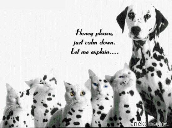 Άσε με να εξηγήσω 