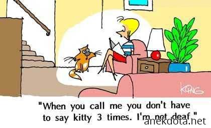 Δεν είμαι κουφή 