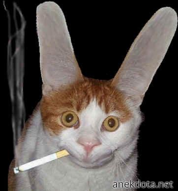 Τι εννοείς ότι το κάπνισμα κάνει κακό; 