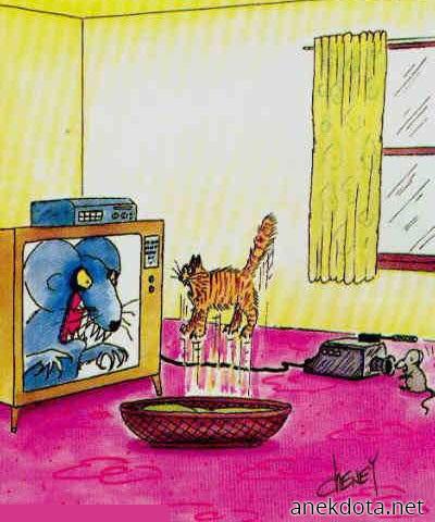 Ταινία τρόμου για γάτες 