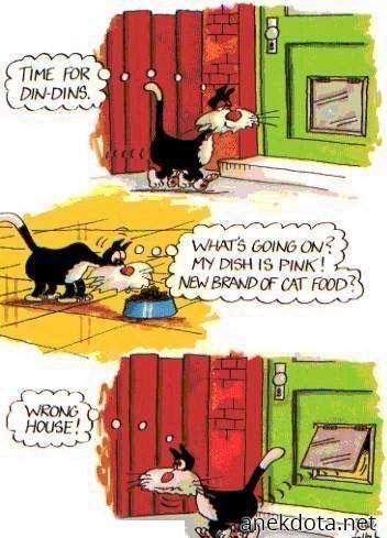 Λάθος σπίτι 