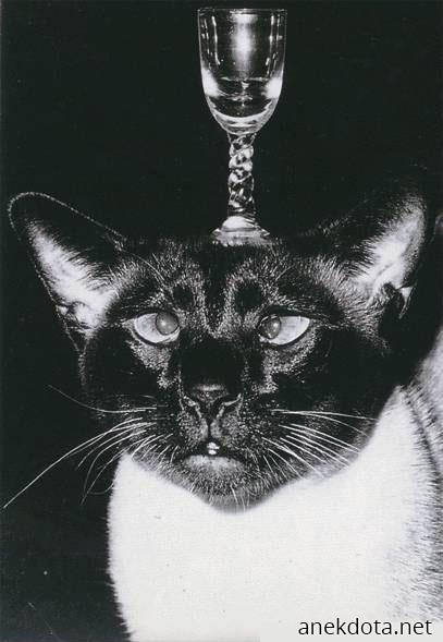 Μάθημα ισορροπίας 