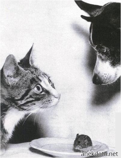 Ποιός θα φάει ποιόν; 