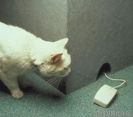 Έχουν και αυτά φολιές 