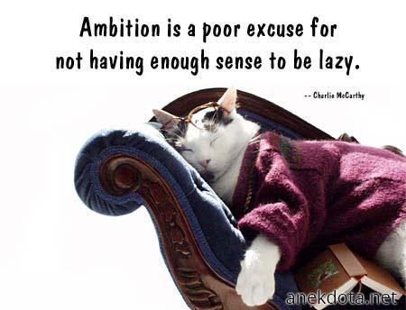 Be lazy,not ambitious 