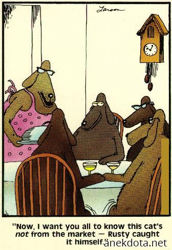 Δεν είναι απο την αγόρα,εμείς την πιάσαμε 