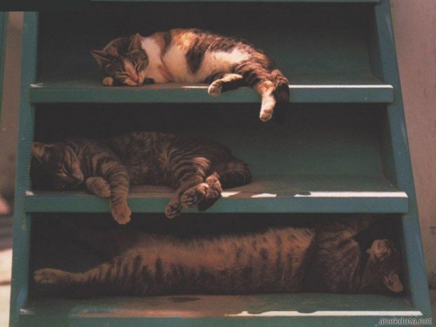 Γεμάτα τα ράφια 