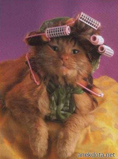 Γατομπικουτί 