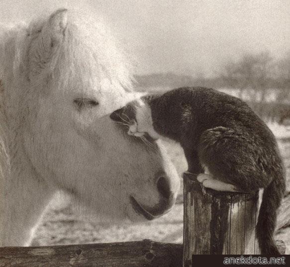 Έρωτας χωρίς όρια 