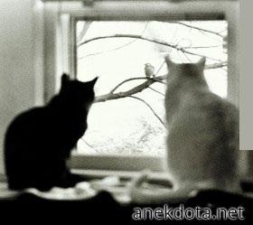 Ατενίζοντας 