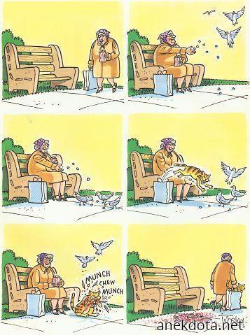 Πως να ταίσεις τη γάτα σου 