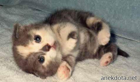 Εεεε εεεε έπεσα 