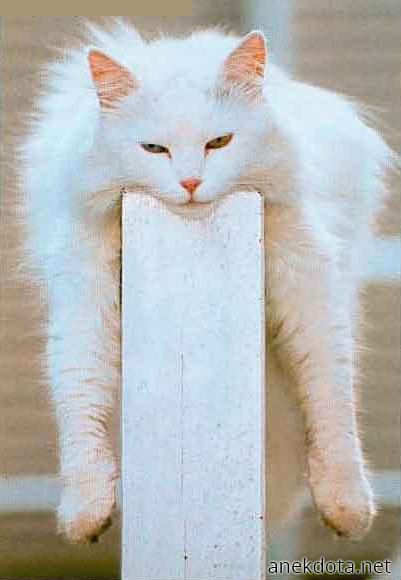 Ναι,πολύ έξυπνο 