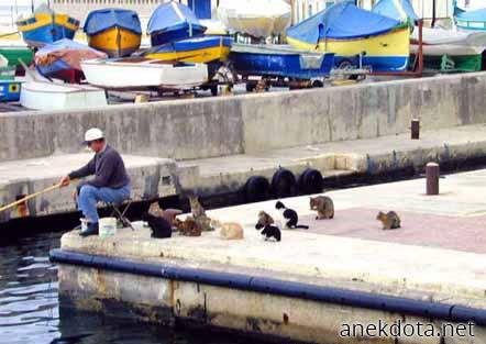 Φρέσκο γεύμα 