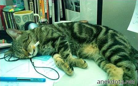 Ένα μικρό διάλυμα στη δουλειά 