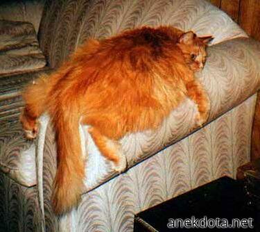 Δε φεύγω από εδώ 