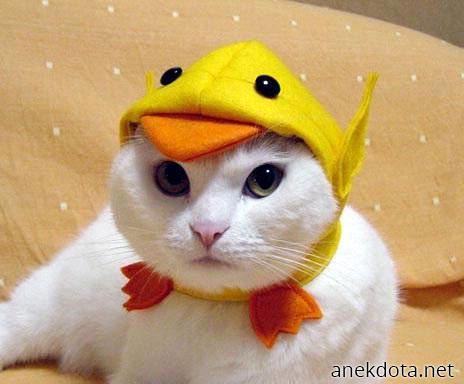 Τι στυλ.τι βλέμμα! 