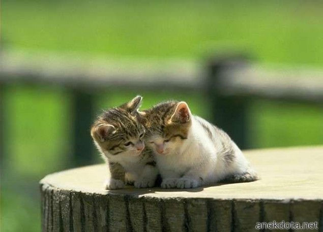 Έλα μικρούλι,όλα θα πάνε καλά 