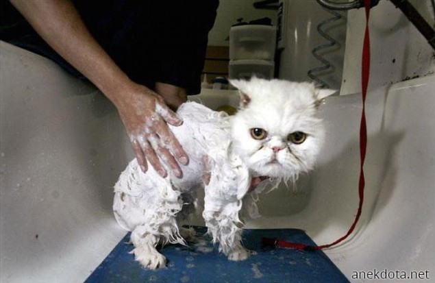 Θα σε σκοτώσω 