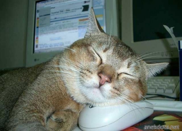 Υπναρόγατα 