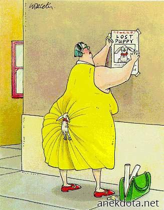 Χαμένο κουτάβι 