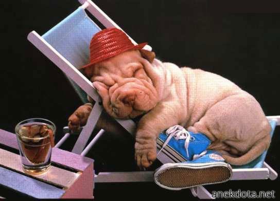 Το ποτό φέρνει νύστα 