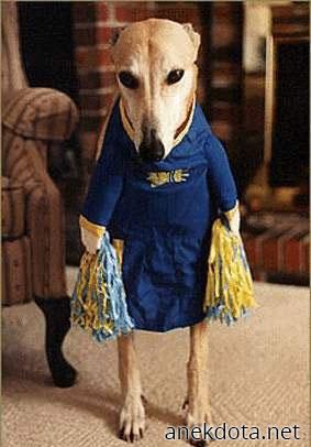 Έχω κάτι αστείο 