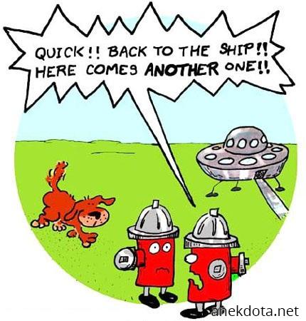 Πίσω στο πλοίο! 