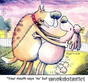 Το στόμα σου λέει όχι,αλλά η ουρά σου λέει ναι 