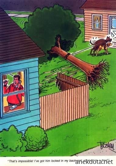 Αποκλείεται! 