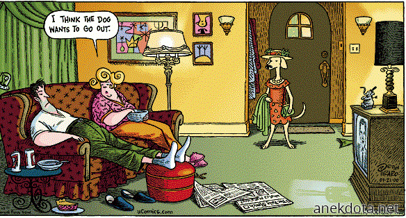 Ο σκύλος θέλει βόλτα 