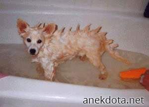 Μίσω το μπάνιο 