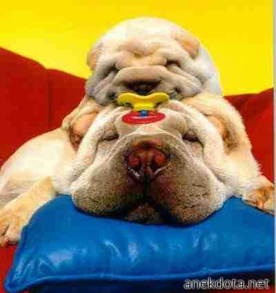 Ίδιος ο μπαμπάς 