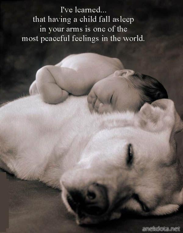 Απόλυτη ηρεμία 