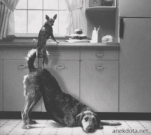 Συνεργασία 