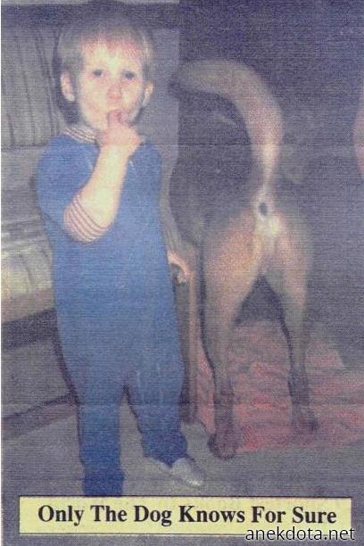 Μόνο ο σκύλος ξέρει 