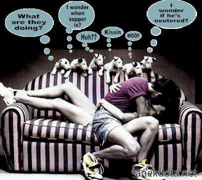 Τι κάνουν εκεί; 