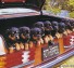 Dog express