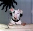 Punk dog