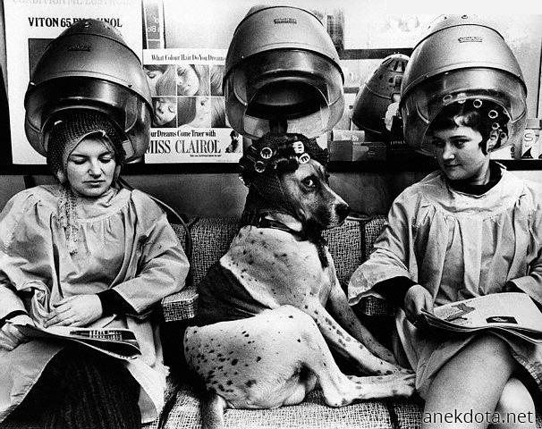 Είπα να κάνω μαλλί 