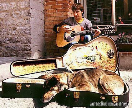 Εκεί βάζω το χρήμα αλλά χαλάλι 