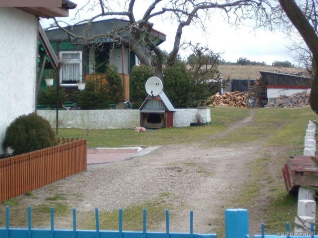 Το σωστό το πιάτο 