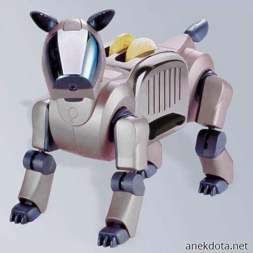 Σκυλοτοστιέρα 