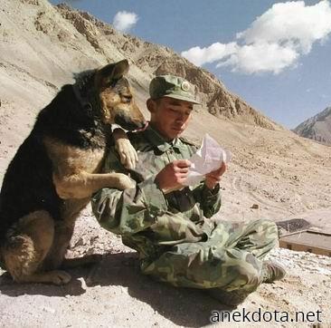 Για πές,τι λέει; 