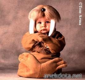 Μικρή μεσογειακή φώκια 