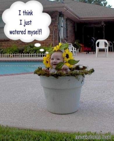 Με πότησα μόνος μου 